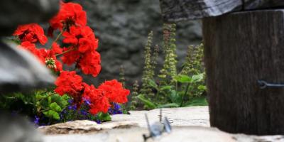 Best of: Wallis Best of: Wallis